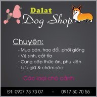 Dalat Dog Shop
