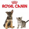 Royal Canin Hà Nội