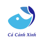 Cá Cảnh Xinh